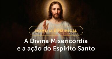 A Divina Misericórdia e a ação do Espírito Santo