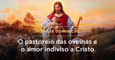 O pastoreio e o amor indiviso a Cristo