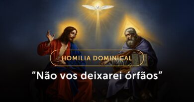 A graça de Deus e seus frutos em nós