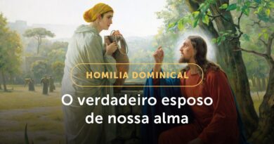 O verdadeiro Esposo de nossa alma